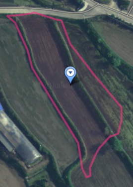 전의면 투자토지 미래산단 주변